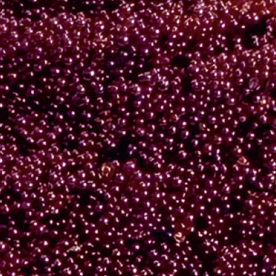 ORG Food Grade Resin